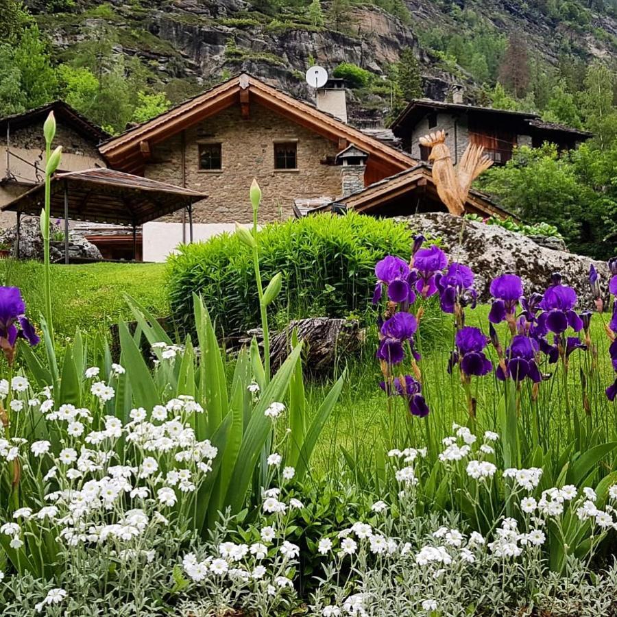 B&B Lo Djoua De Toueno Arvier Exteriér fotografie